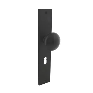 Türknauf auf Schild 245x45mm Buntbart 56mm Schwarz | hanse-Griff.de